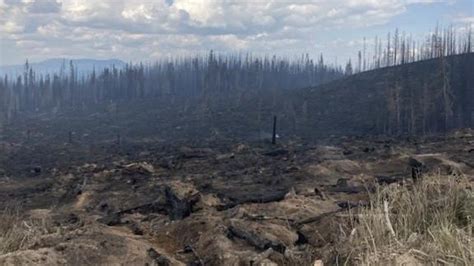Devastating 2023 Canadian wildfire season sets multiple records: Feds